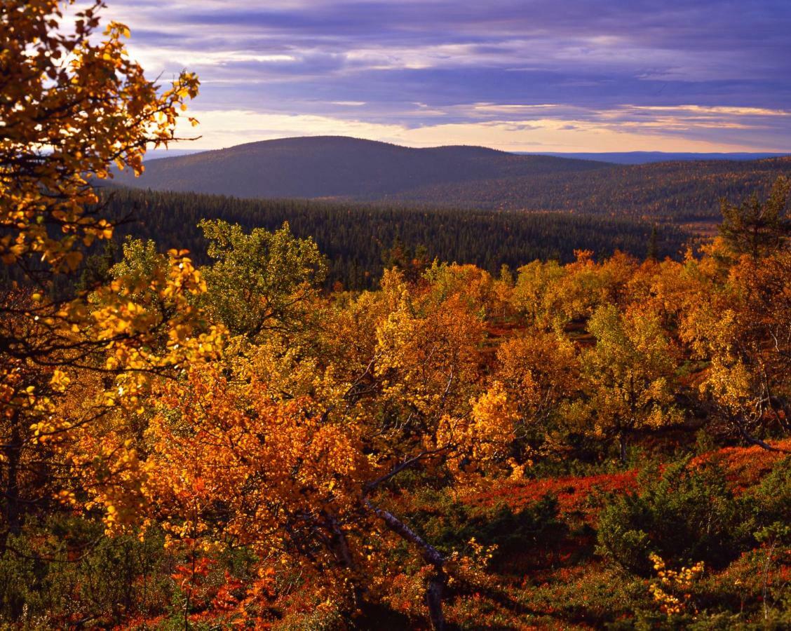 Lapland Hotels Yllaeskaltio Äkäslompolo Kültér fotó